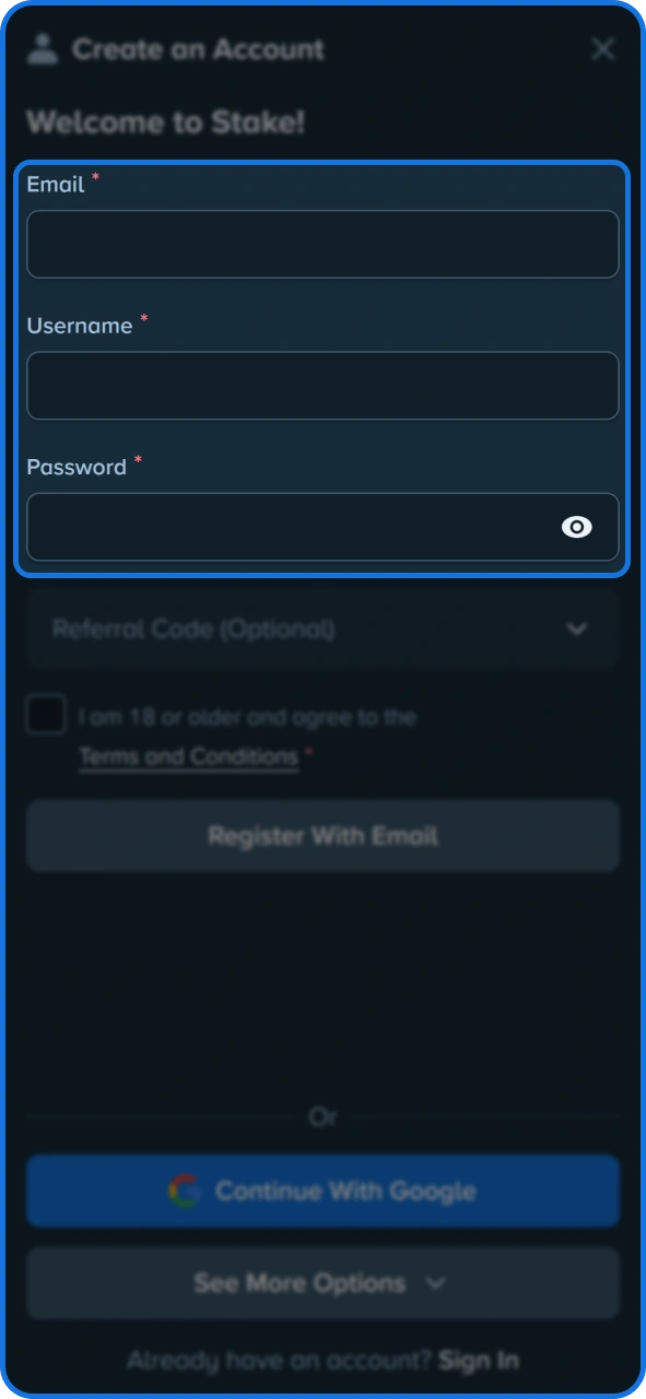 Type in details in Stake app registration form.